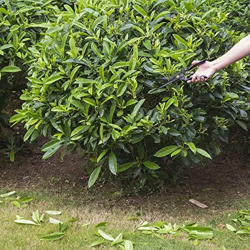 Galadim Hand Shears for Gardening & Sheep Shearing - Manganese Stainless Steel Topiary/hedge scissors for Pruning GD-010-A1