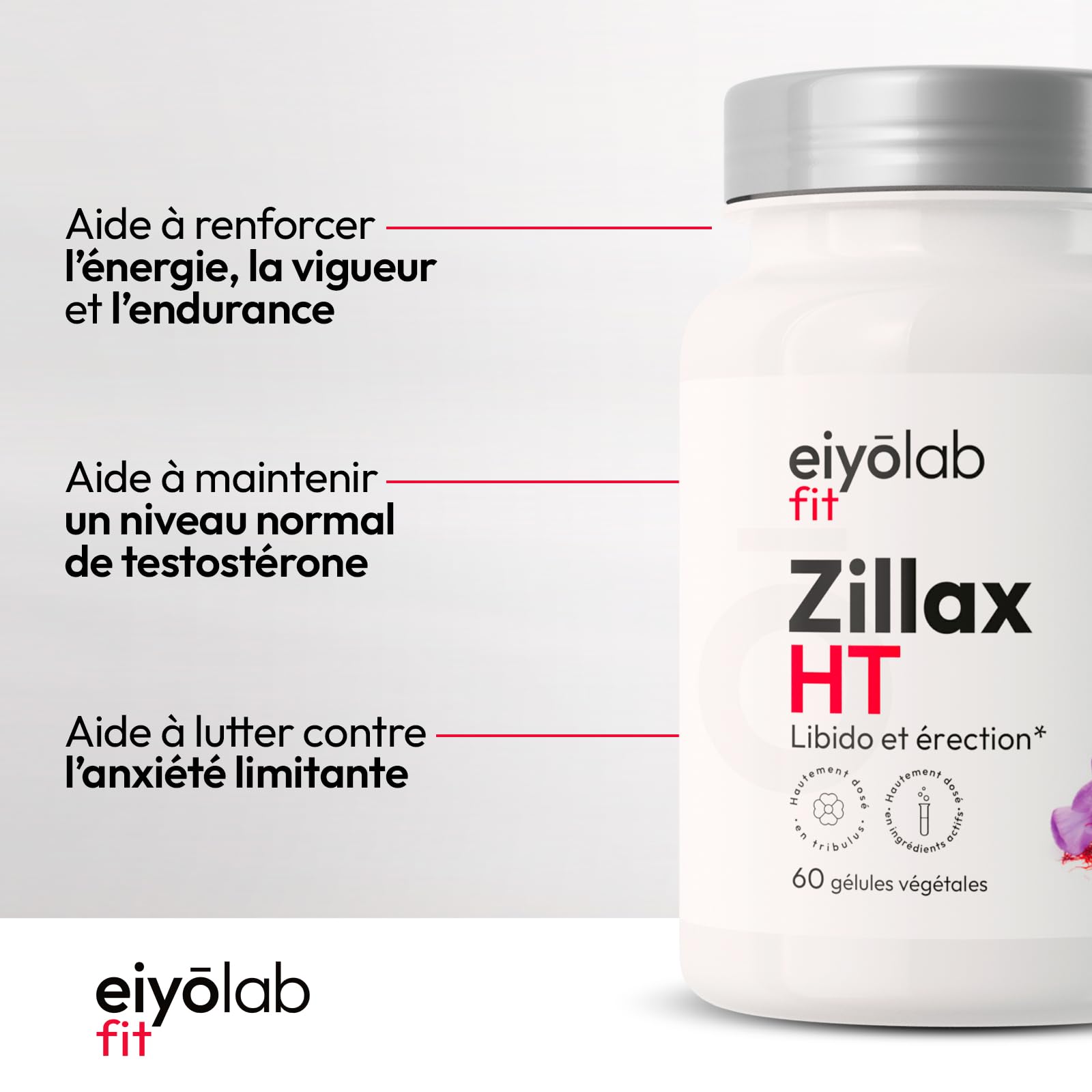 Zillax HT | Formule Libido Homme | Vigueur, Endurance | Tonifiant Sexuel | Tribulus, Maca, Safran et Ginkgo | Aphrodisiaque | Booster Circulation Sanguine | 60 Gélules Vegan | Eiyolab