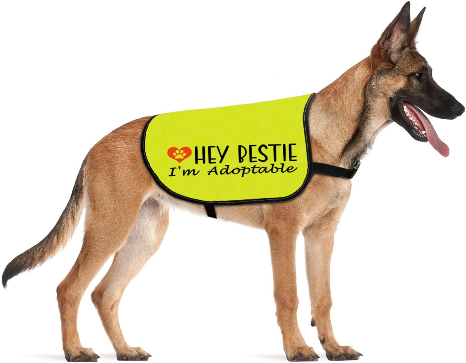 CENWA Adoptable Dog Jacket Vest Hey Bestie I'm Adoptable Dog Vest Alert Slogan Warning Vest (I'm Adoptable M)