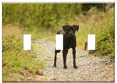 Placa de interruptor triple - Insectos animales pájaros naturaleza la India Quindio 4 disponible en Yaxa Colombia