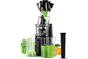 Oterbear: Powerful Masticating Juicer Machines for Wholesome Nutrition
