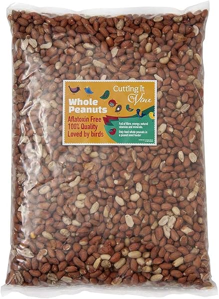 Cutting it Vine Peanuts for Birds 5 ltr Refill Bag (3kg), Attract Wild Birds with Finest Grade Peanuts, Year Round Wild Bird Food and Squirrel Food of Choice - 1