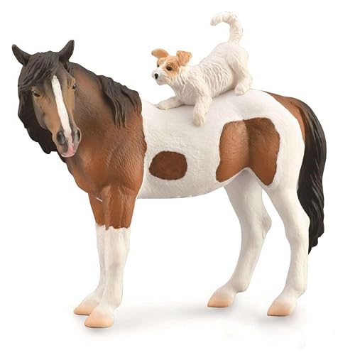 Collecta