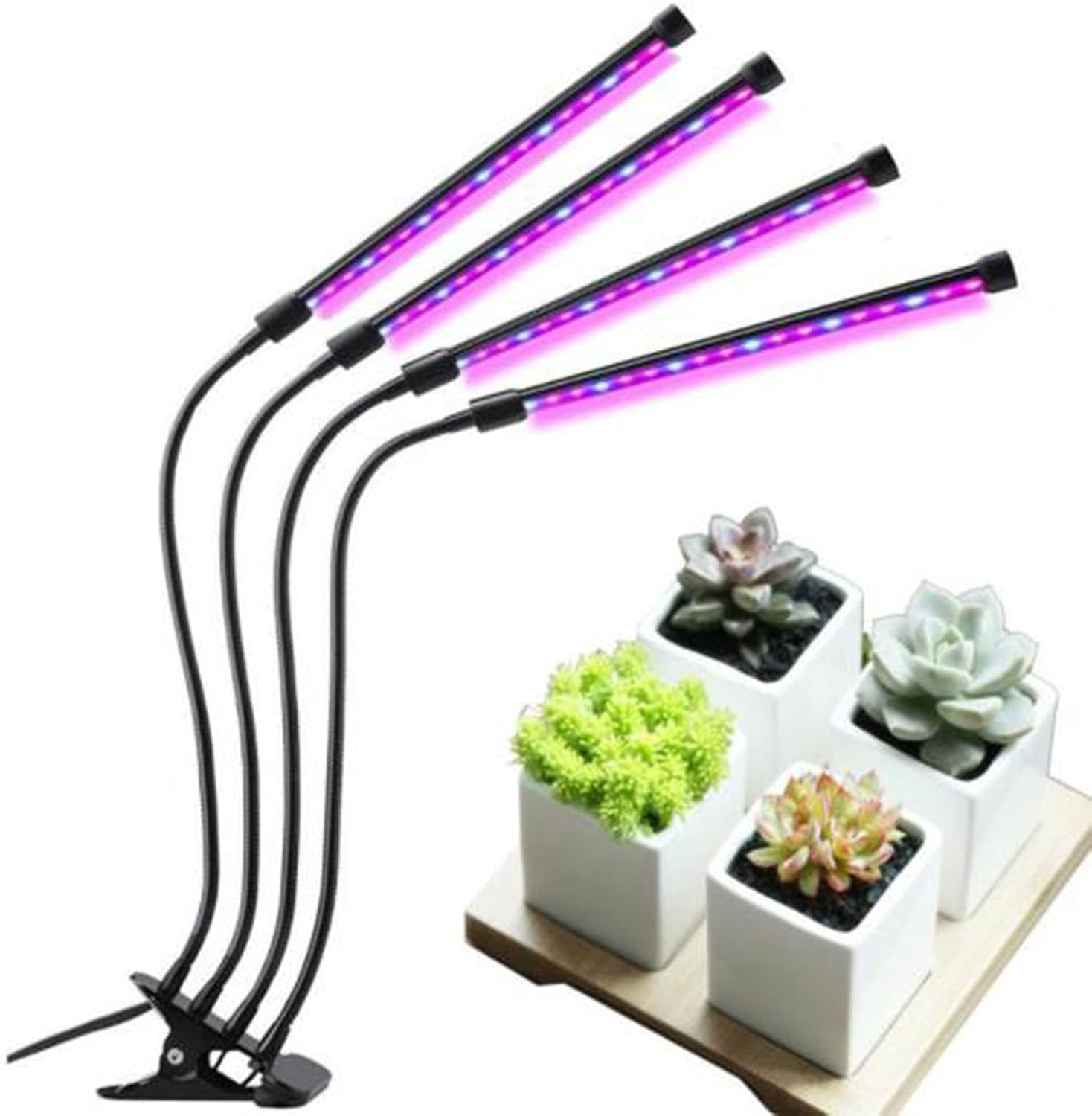 chiphyはライト、屋内植物のためのフルスペクトルLEDの植物ライト、皿