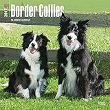 Border Collies 2017 Square (Multilingual Edition)