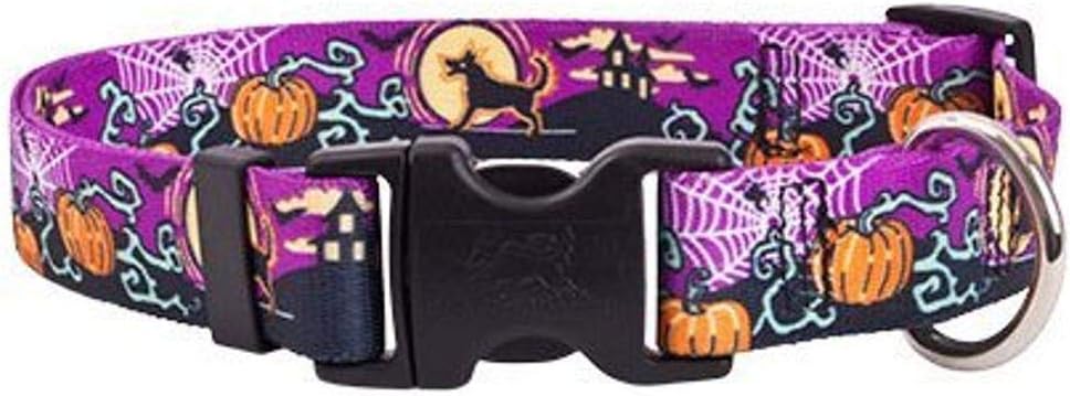 Pumpkin Patch Dog Collar - Size Large 18" to 28" Long