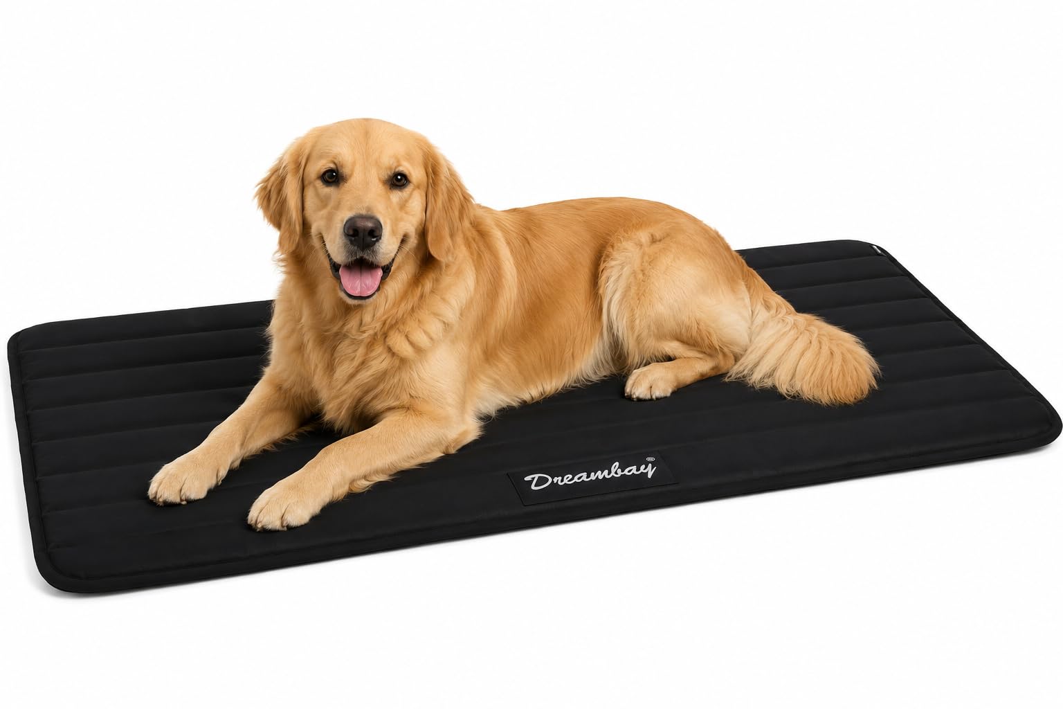 Panier Chien XXL Dreambay Noir pour Cage de Transport Tapis Confortable