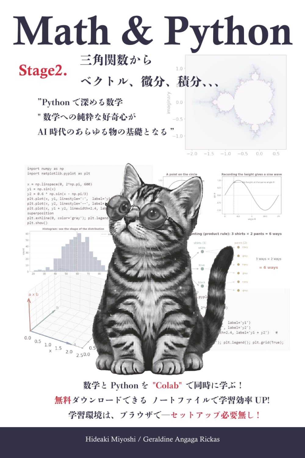 数学 & Python Stage2: Python で深める数学の世界