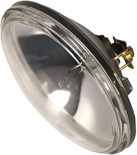 Satco S4323 Transitional Bulb in Light Finish, 2.75 inches, Color