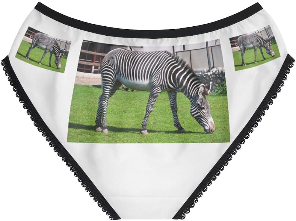 Zebra Panties, Zebra Underwear, Briefs, Cotton Briefs, Funny Underwear, Panties For Women