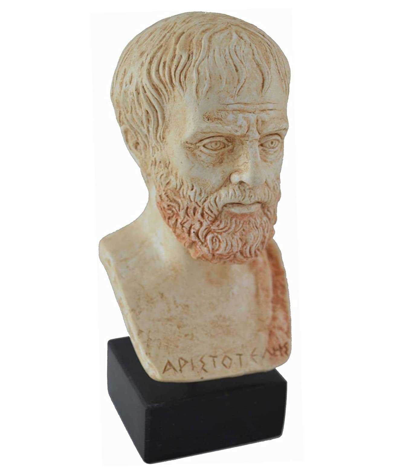 Estia Creations Aristotele Scultura Antico Greco Filosofo Museo Riproduzione Busto