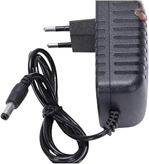Sweeping Robot Accessories. Compatible for Vileda VR ONE VR 102 VR 303 Compatible for Vileda VR 201 Pet Pro Saugroboter Robot Vacuum Cleaner Parts Accessory EU Charger Adaptor (Color : 24V)