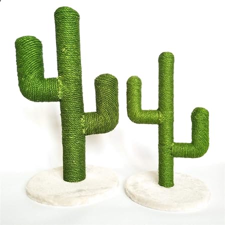 Arbre A Chat Cactus Griffoirs Pour Chats Jouet Intertif Pour Chat Poteaux A Griffer En Forme Cactus Avec Fleur Durable Avec Boule Chat Cadeau Amazon Fr Cuisine Maison Arbre A Chat Cactus Griffoirs Pour Chats Jouet Intertif Pour Chat Poteaux A Griffer En Forme Cactus Avec Fleur Durable Avec Boule Chat Cadeau Amazon Fr Cuisine Maison