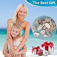 Vista 6 de Conchas de ostras grandes de 4 a 5 pulgadas para manualidades, 15 conchas de ostras naturales reales a granel para rellenos de huevos de Pascua