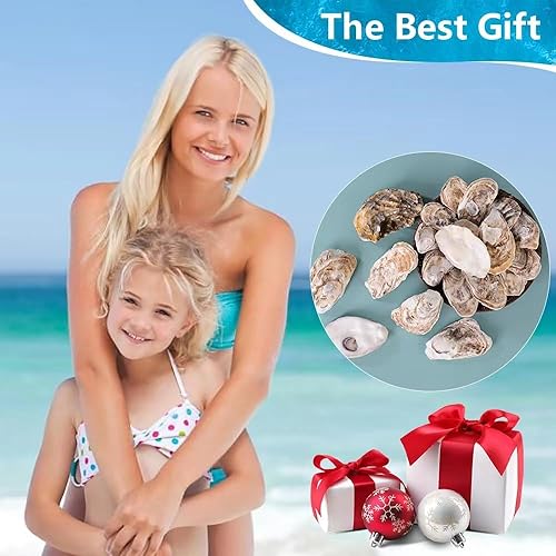 Miniatura 7 de Conchas de ostras grandes de 4 a 5 pulgadas para manualidades, 15 conchas de ostras naturales reales a granel para rellenos de huevos de Pascua,