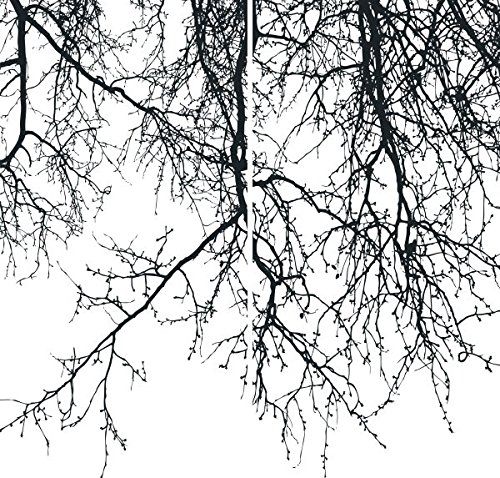 Factory4Me Black And White Curtains, Black Branches Curtains, Printed Tree Branches Curtain, Tree Pattern Window Curtains For Living Room, Decorative Branches Curtains, Two Panels Set 84 Inch #TOP2