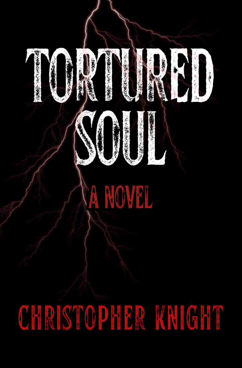 Tortured Soul: a novel