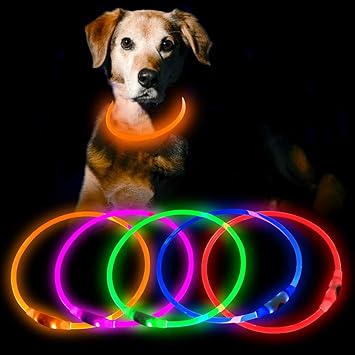 HiGuard LED Dog Collar USB Rechargeable Glowing Pet Collars Lighted Up Safety Necklace Glow in The Dark for You & Your Dogs (Orange)