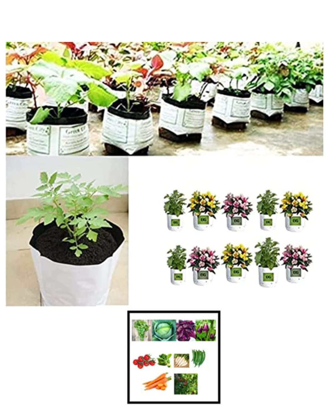 Elamgreen Grow Bag for Terrace Garden 20x20x30 cm Pack of 150 Leafy Vegetable Plant Bags for Home Harden, get Vegetable Seeds Combo Pack (B09LGZCPB4) Amazon Price History, Amazon Price Tracker