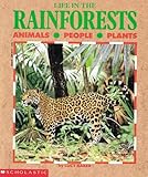 Life in the RainForests