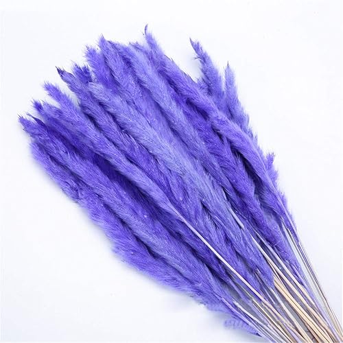 Miniatura 28 de Paquete de 100 gavillas de trigo seco marfil, arreglos de otoño premium, al por mayor, bricolaje, mesa para el hogar, boda, Navidad (amarillo)