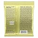 Ernie Ball Mammoth Slinky Nickel Wound E-Gitarrensaiten, Stärke 12-62 (Packung mit 2)