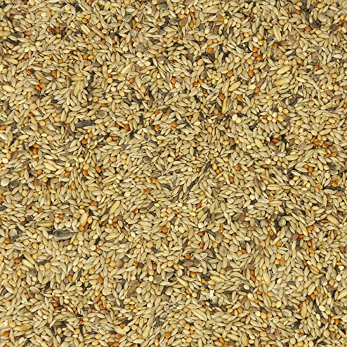 Kanarien-Fit, Kanarienfutter ohne Rübsen 2,5 kg