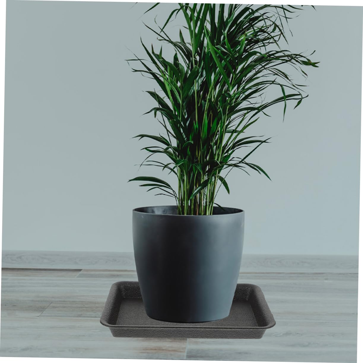 ifundom Set 8 Pezzi Sottovasi Rettangolari in Plastica Neri per Vaso e Bonsai, Resistenti e Impermeabili, per Uso Interno ed Esterno