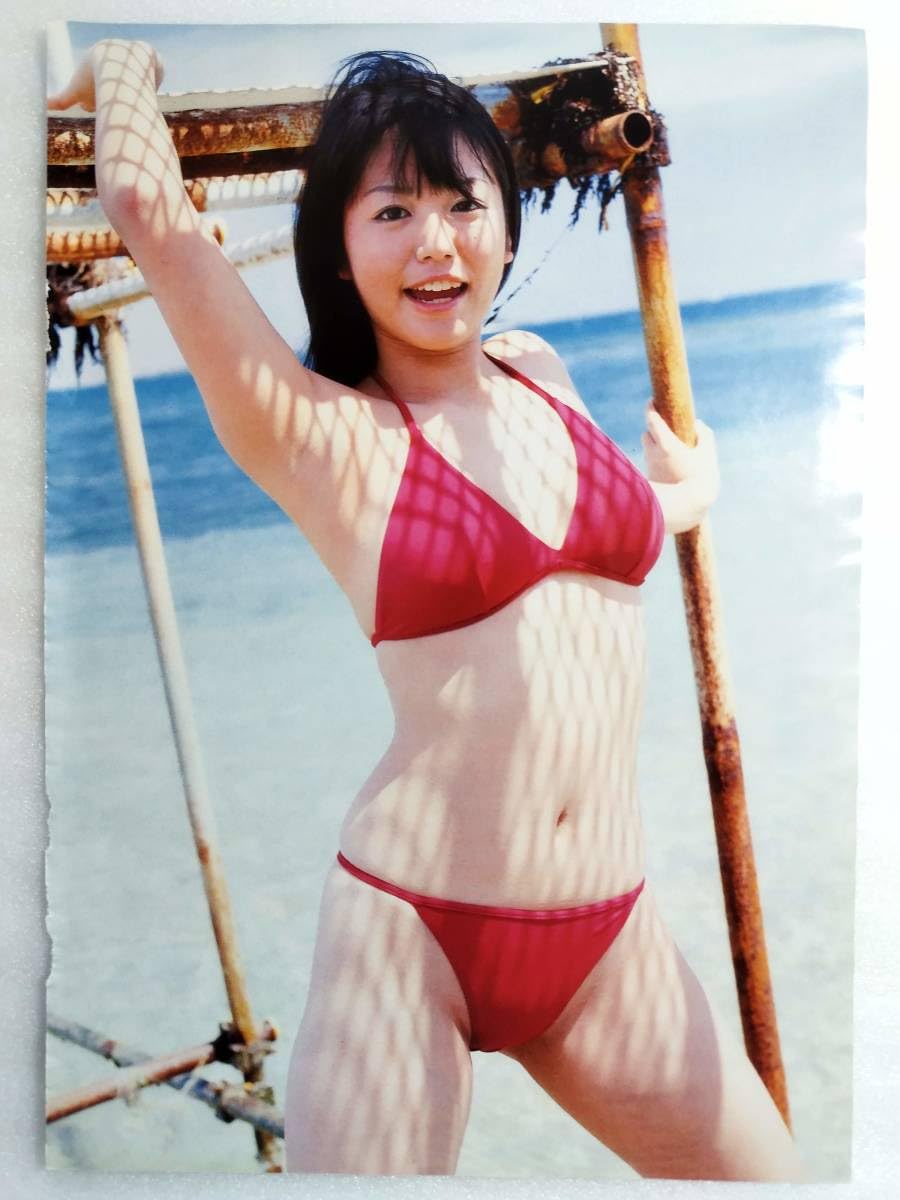 磯山さやか 水着 Amazon.co.jp: 磯山さやか 雑誌 切り抜き 9ページ ビキニ 水着 グラビア 9P : おもちゃ