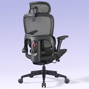 SIHOO B300 Pro Ergonomic Office Chair, Adaptive Lumbar Support, Soft Black