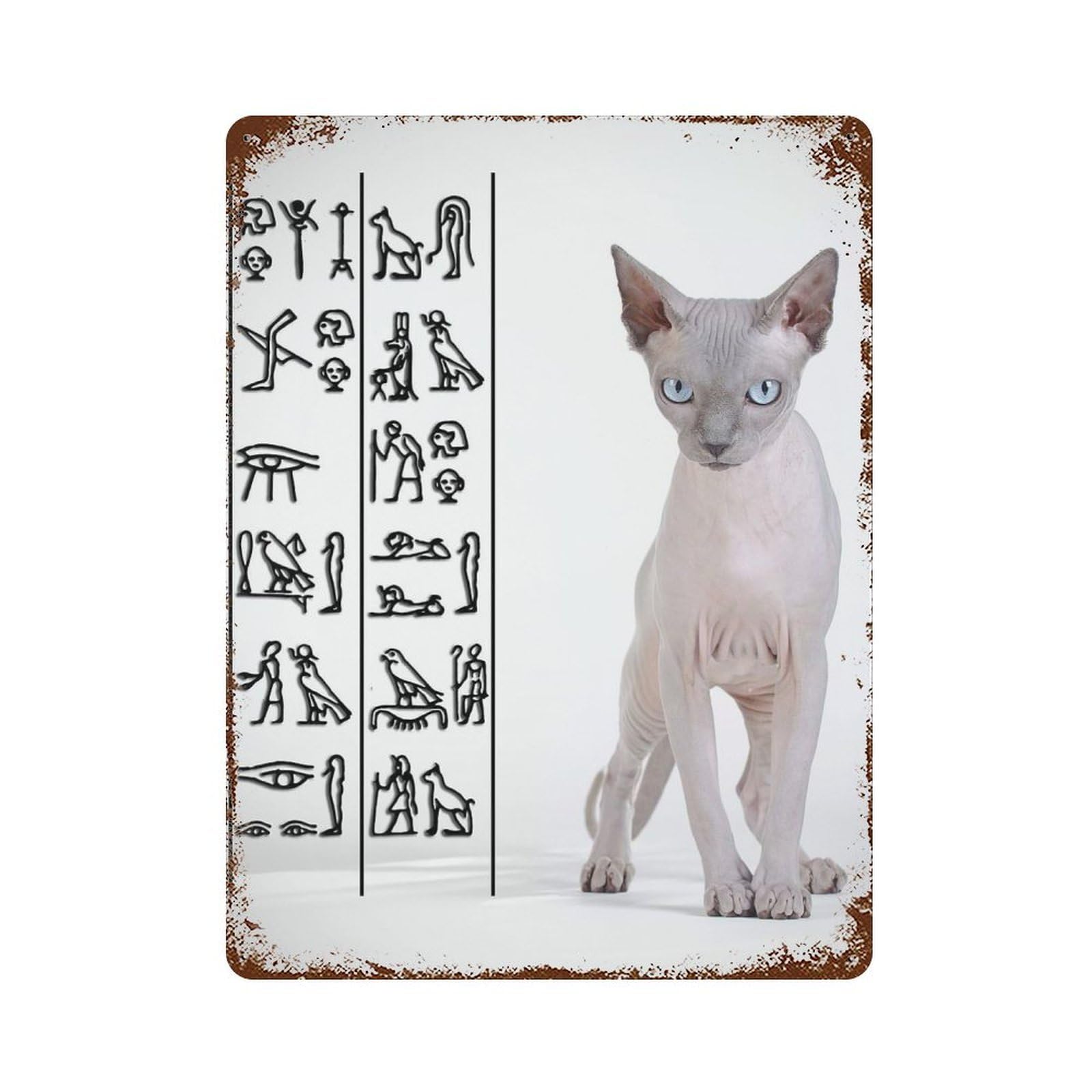 Canadian Sphynx Cat Retro Metal Sign 15.7"x11.8", Ideal for Shed, Workshop And Garage Wall Decor