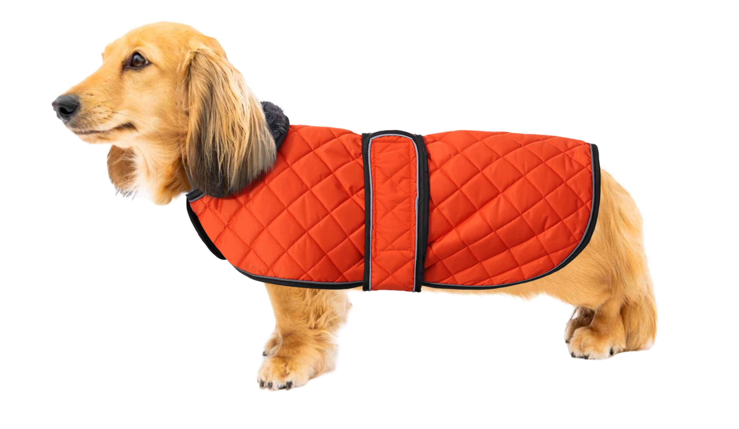 Warm Thermal Quilted Dachshund Coat, Dog Winter Coat with Warm Fleece Lining, Outdoor Dog Apparel with Adjustable Bands for Medium, Large