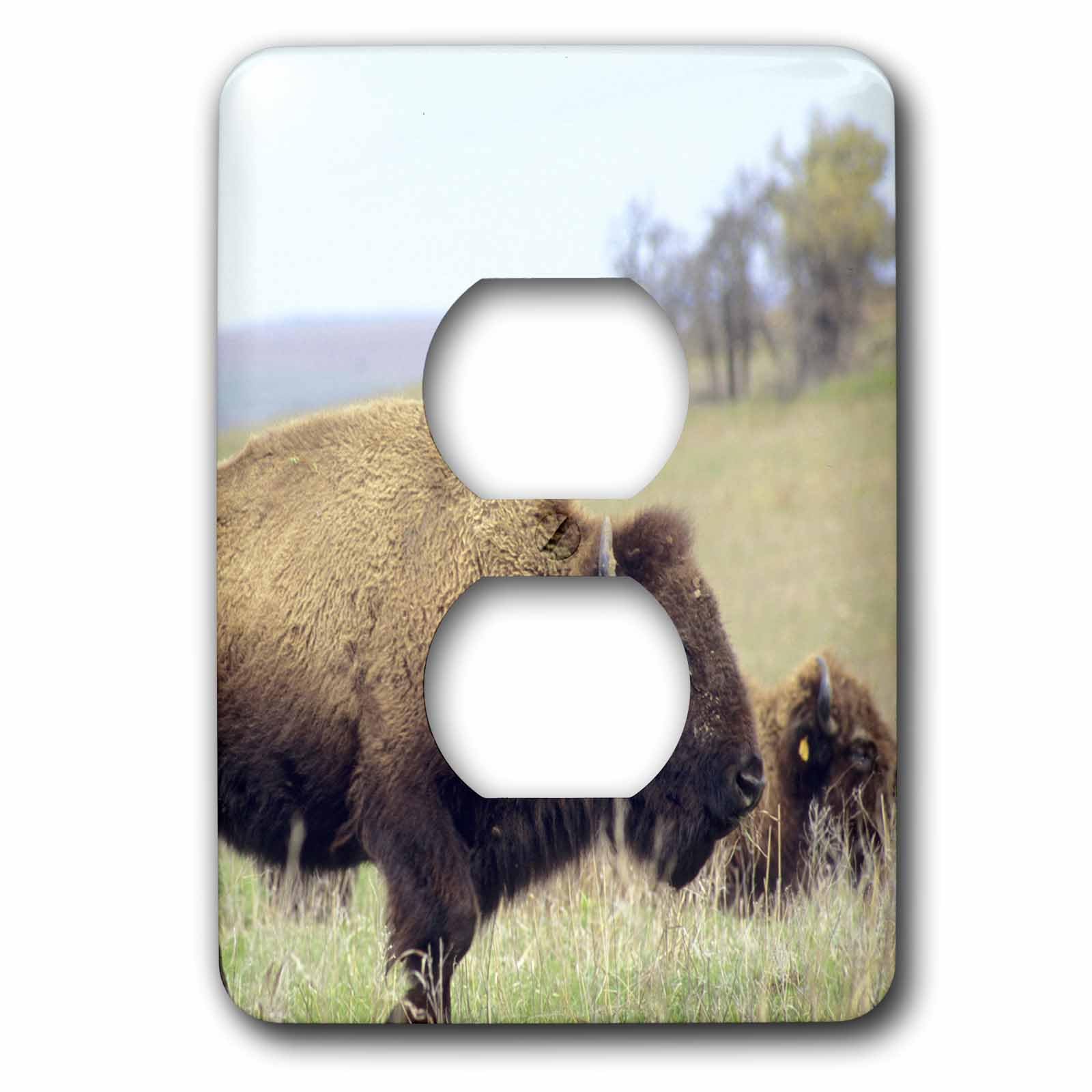 Cache-prise American Buffalo Wildlife Na02 Dfr0026 3dRose 2 prises