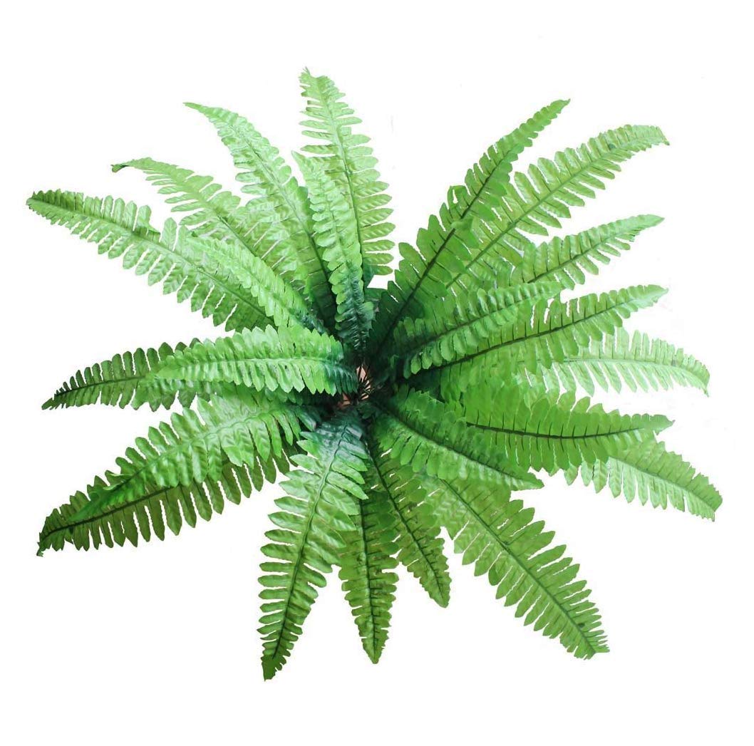 Fourwalls Decorative Artificial Boston Fern Plant Without Vase for Home and Office décor (50 cm Tall, Green, 18 Leaves)-image-26