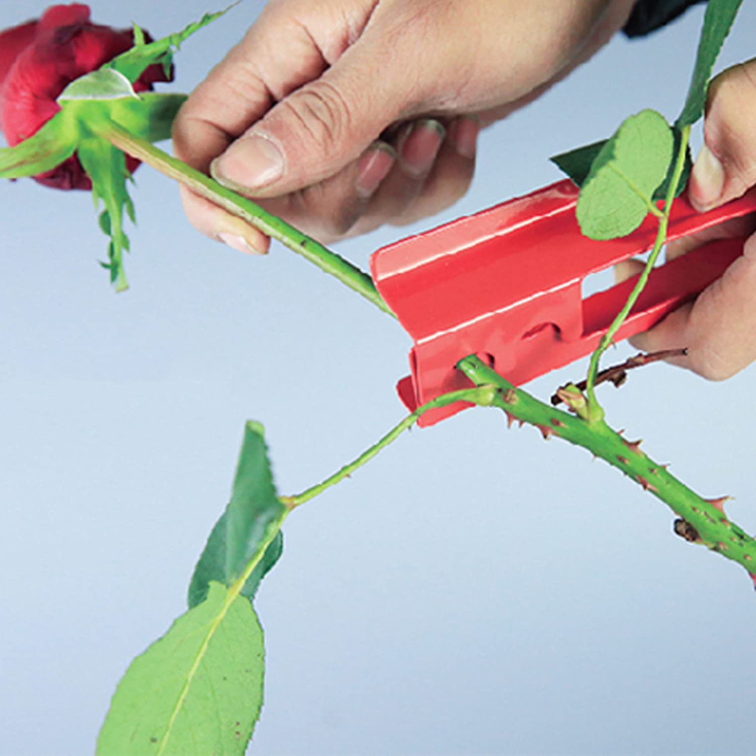 Gartenscheren Set Für Rosen - Dornen Entferner & Blumenzange | 2-tlg. Gartengeräte Set