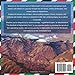 The Big Book of Afghanistan Facts: An Educational Country Travel Picture Book for Kids about History, Destination Places, Animals, and Many More