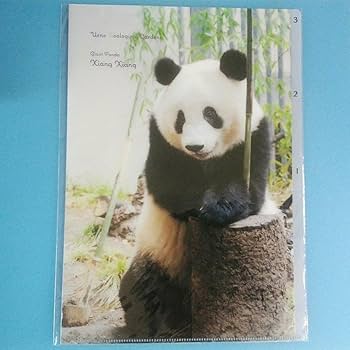 上野動物園★パンダ★シャンシャンクリアファイル、ポストカード、ノベルティ他大量 Amazon.co.jp: パンダ シャンシャン リアファイル 全身 上野