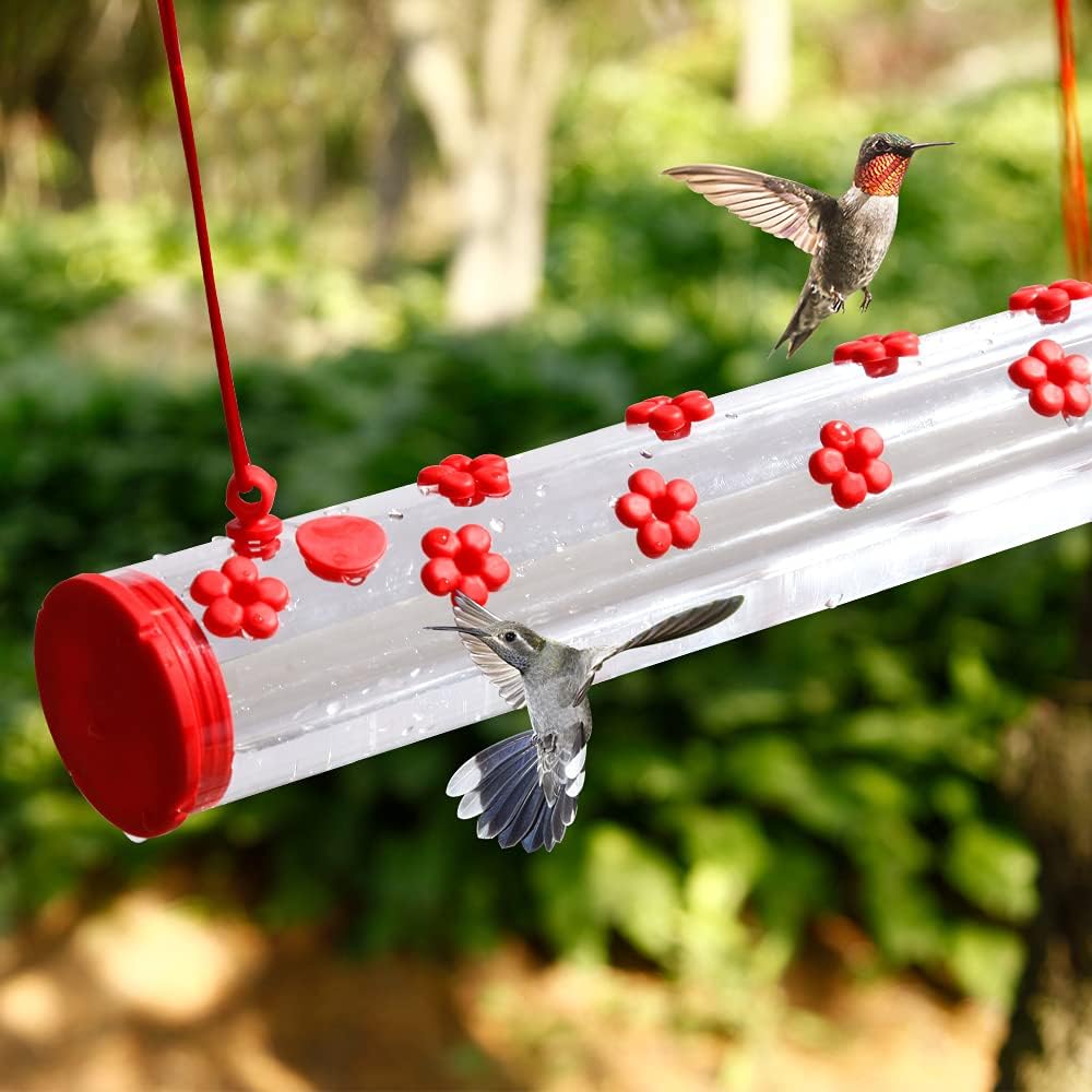 Hummingbird Feeders for Outdoors,First Nature Hummingbird feeders,Hummingbird with