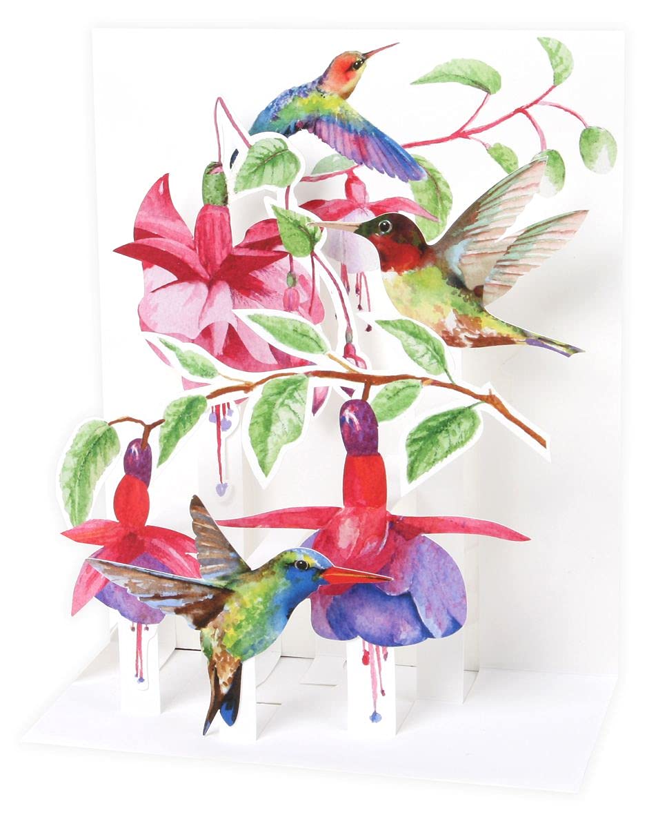 Amazon.com: Up with Paper Pop-Up Sight 'N Sound Greeting Card - Hummingbirds  : Office Products