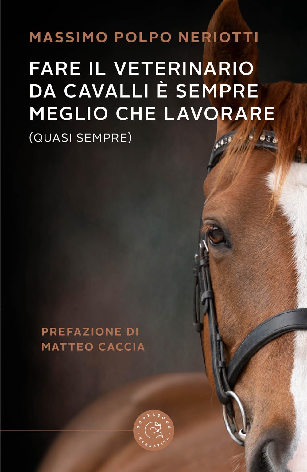 Fare Il Veterinario Da Cavalli è Sempre Meglio Che Lavorare (Quasi Sempre) - 4