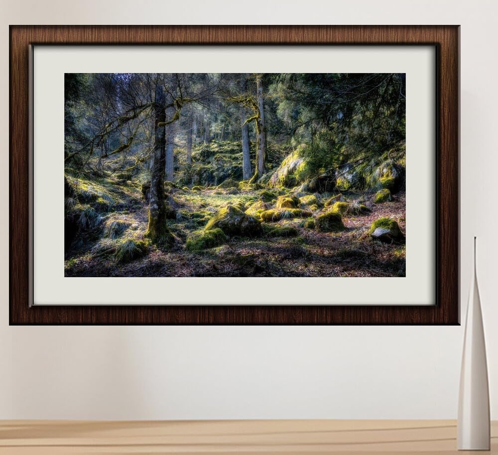 JVERF - JZZI21228 France Forests Stones Hautes Vosges Trees Moss HDR| Self-Adhesive Painting | Frameless