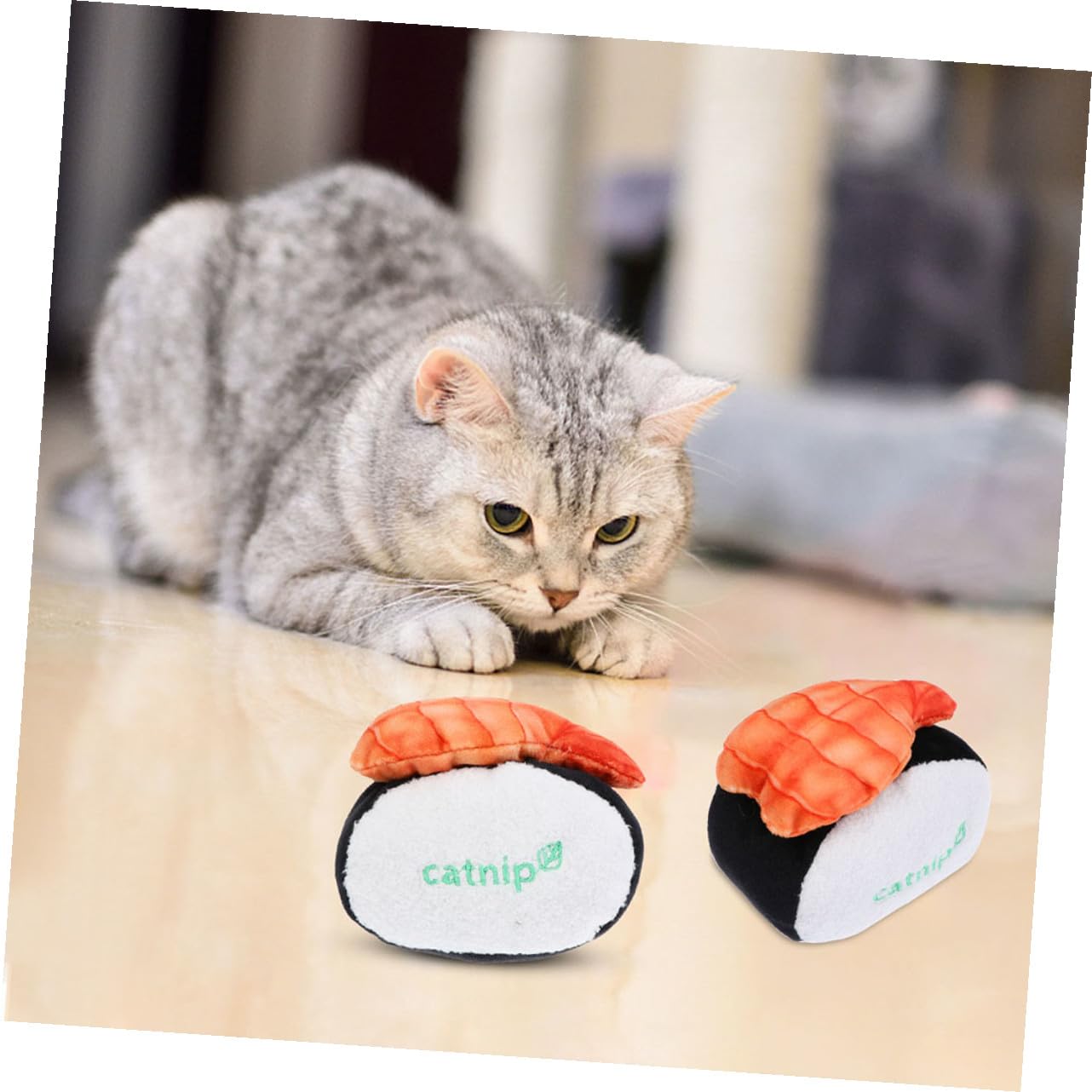 Happyyami 9stücke Katzenminze Spielzeug Plüsch Chew Bite Interaktive Spielzeuge Mit Quietscher Molar Zubehör Für Katzen Enthält Sushi Muscheln Und Garnelen Für Kätzchen Und Senioren