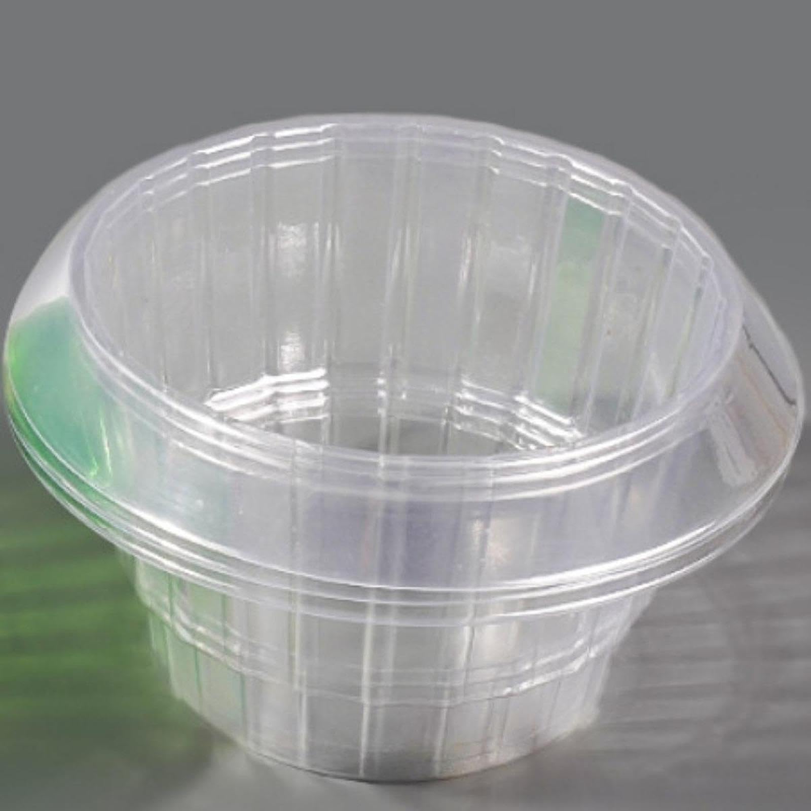 CALANDIS™ Snail Plant Collar Collar Transparent Garden Cloches for Indoor Pots Planter Green | Other Weed & Pest Control | Weed & Pest Control | Gardening Supplies | Yard, Garden & Outdoor Living-image-28
