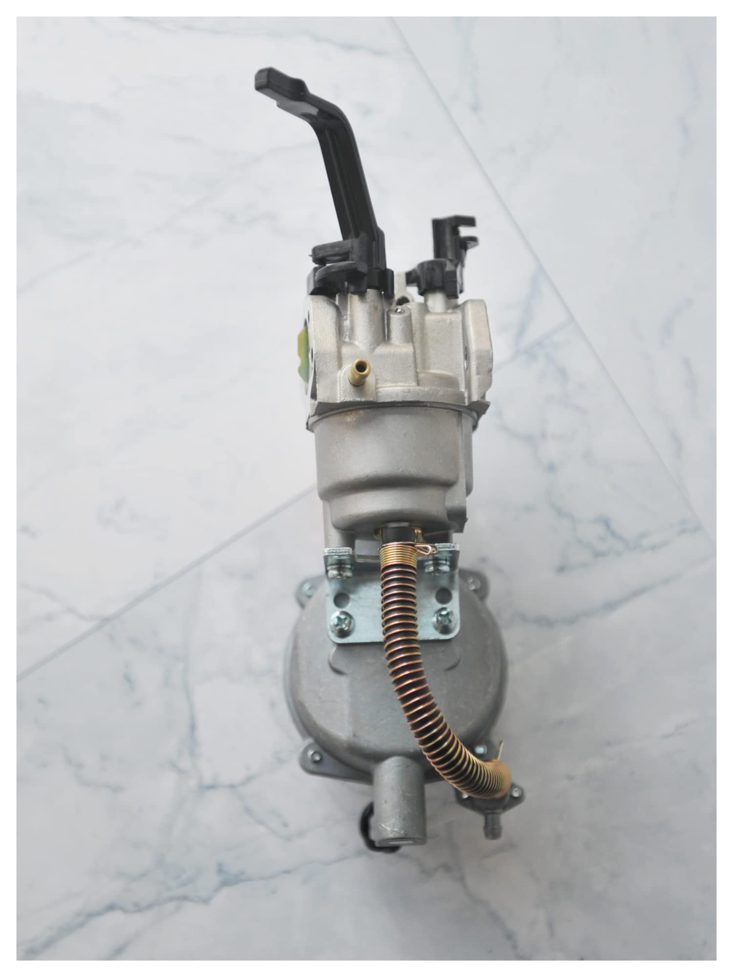 Conjunto Carburador Carburador De Combustible Dual Para Generador De Gasolina GX160 Para LPG Para Kits De Conversión NG 2KW 2.5KW 168F