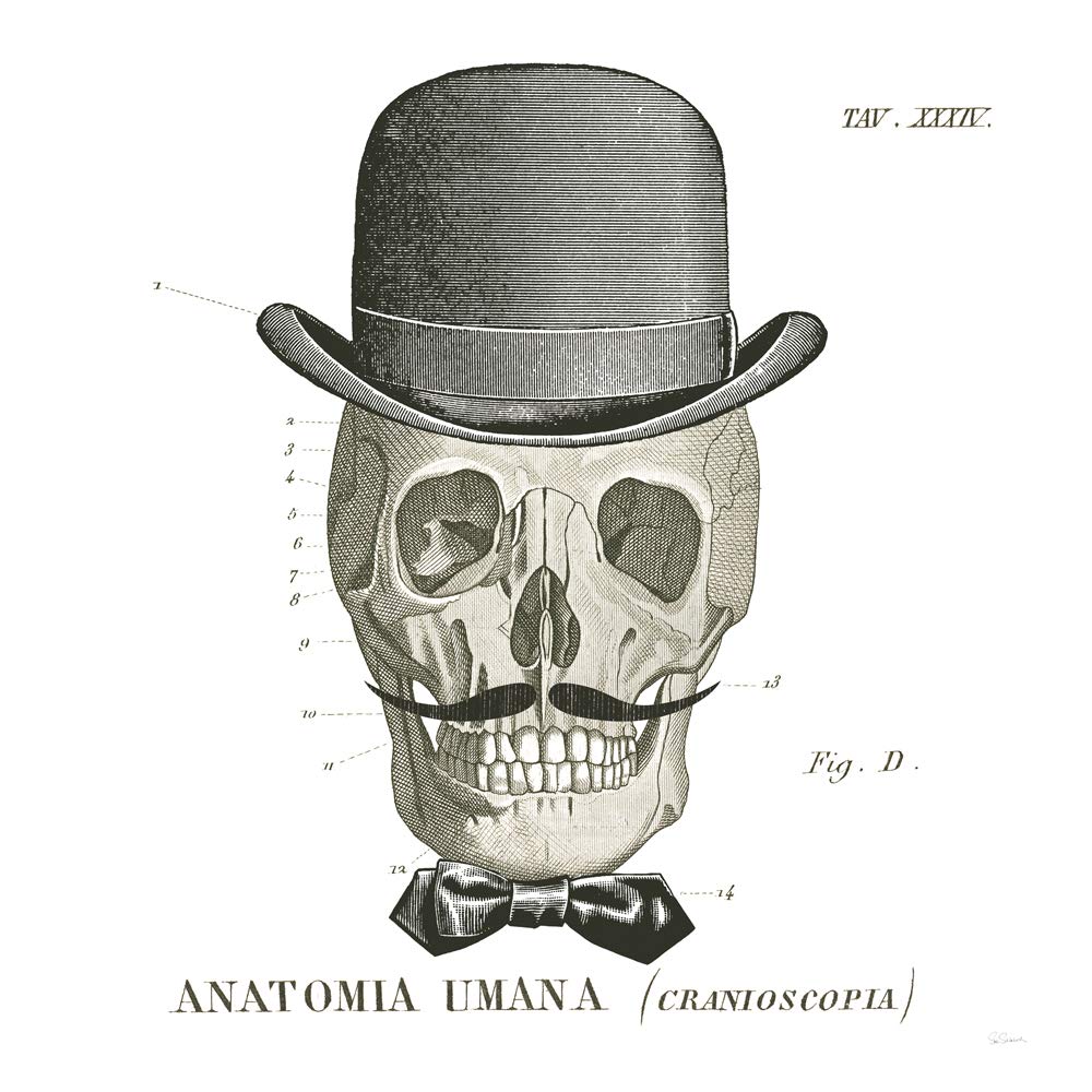 International Graphics - Finished Picture - Sue, Schlabach - ''Dandy Bones IV''- 30 x 30 cm - Direct printing on acrylic glass