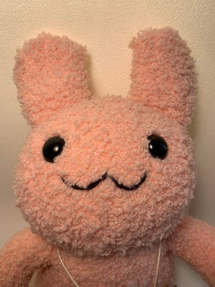 Amazon.co.jp: スパイスミックス うさぴん ぬいぐるみ かえるの