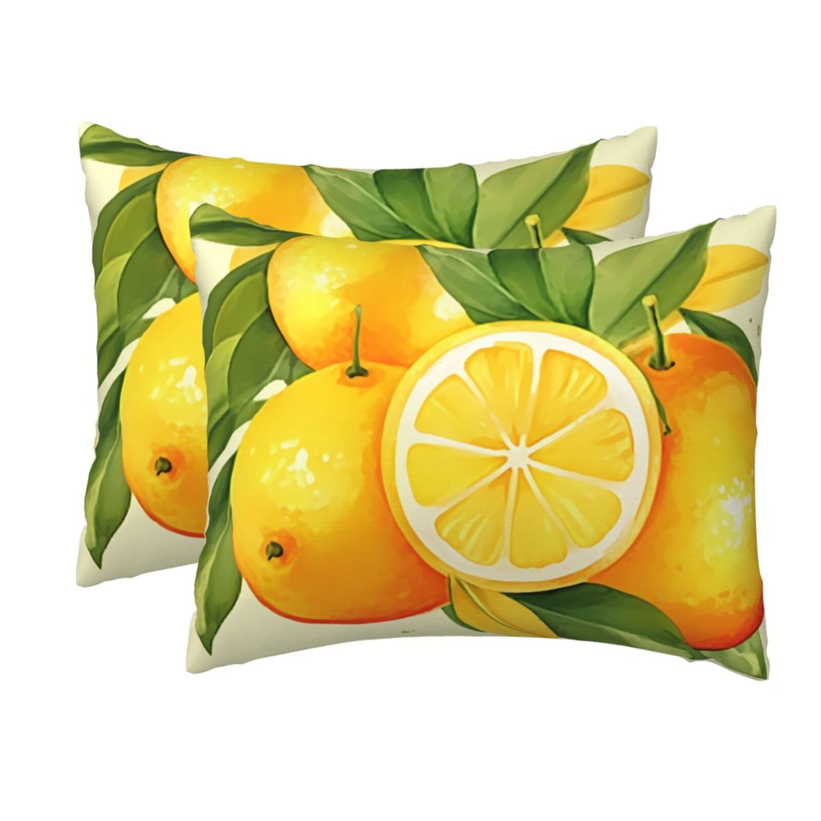 2 Pack Standard Size Pillow Cases for Hair and Skin Soft Breathable Pillow Case Covers with Hidden Zipper Watercolor Lemon Fruit Pillowcase 20x26 Inches Pillow Cover for Sleeping Gift