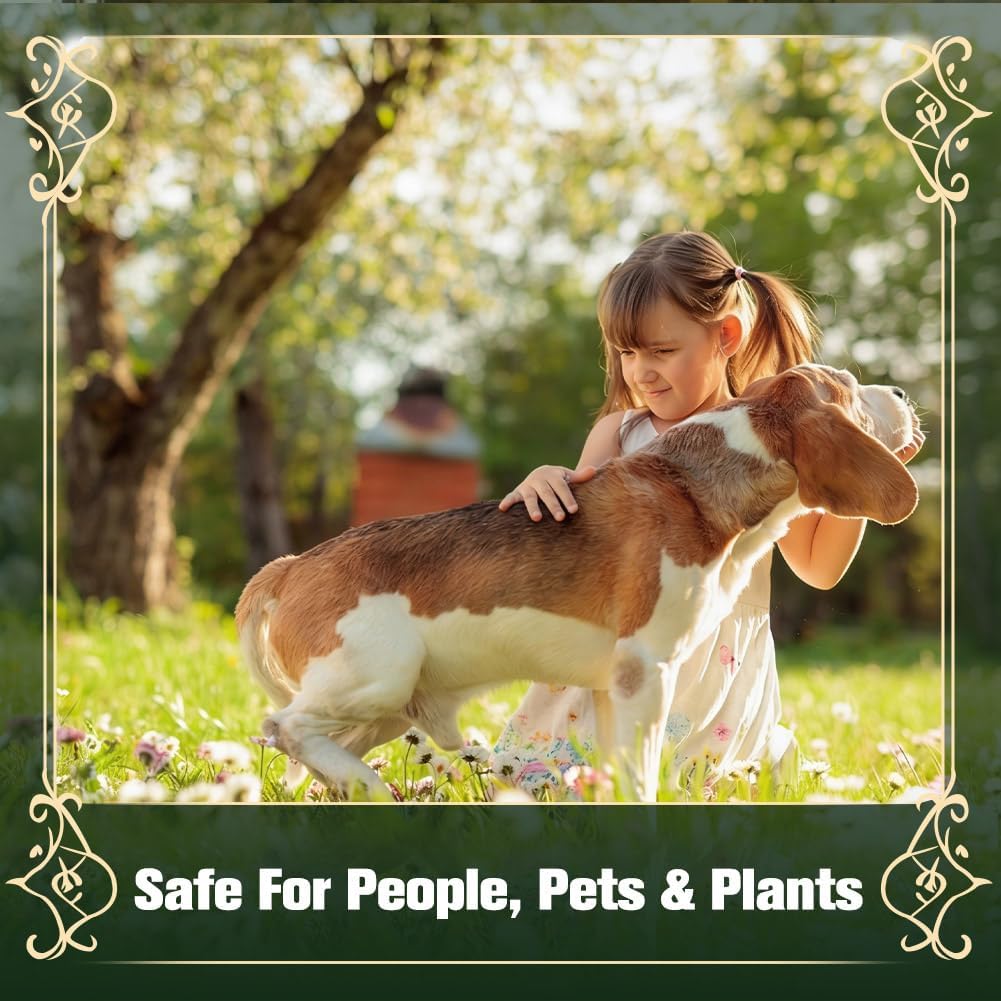 Cat Repellent Outdoor, Cat Scratch Deterrent Indoor, Stray Cat Repellents, Cat Urine Repellant, Cats Pee Deterrents, Keep Cats Away for Furniture, Garden & Yard-8 Pcs