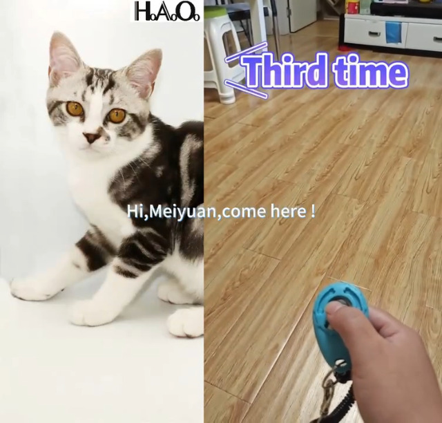 HoAoOo Pet Training Clicker with Wrist Strap - Dog Training Clickers (New Black + Blue) - image 8