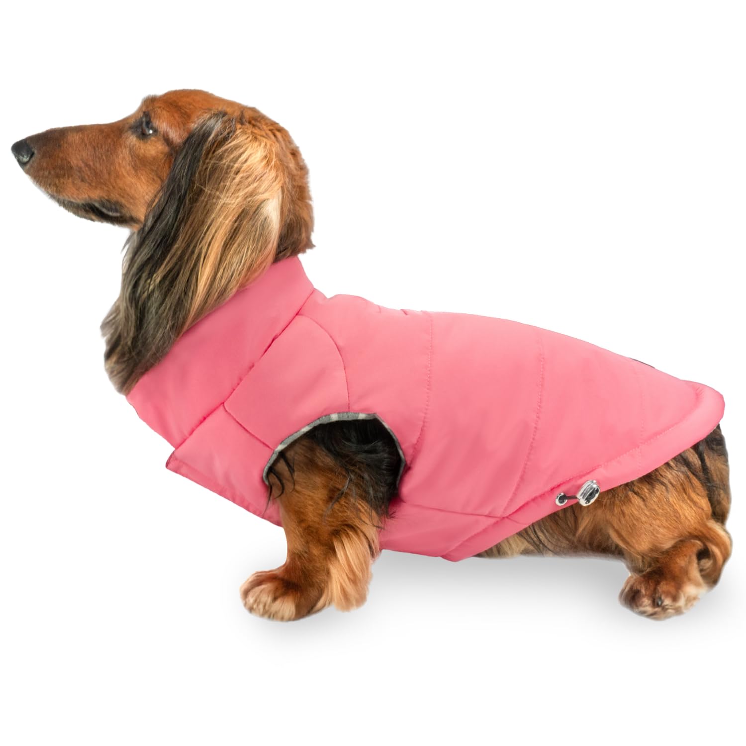 DJANGO Puffer Dog Coat – Warm Winter Dog Jacket & Water-Repellent Insulated Puffer Vest with Striped Lining, Harness Hole, Adjustable Fit for Small & Medium Dogs, Dachshunds – Rose Petal Pink, Small — image 1